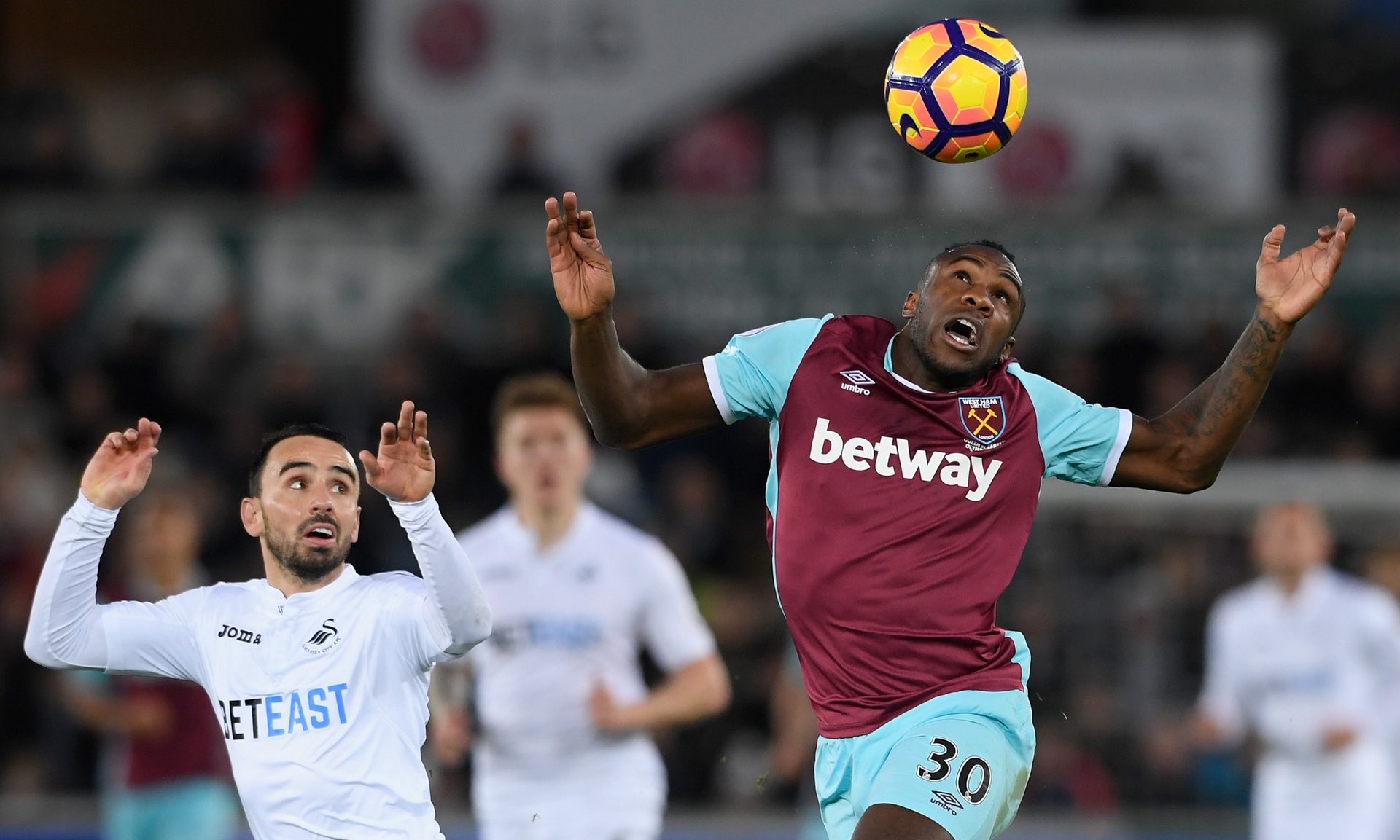 在这场杯赛 在这场杯赛